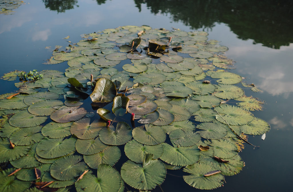 HaiYen_PreWedding_HoaTranWeddingPhotographer