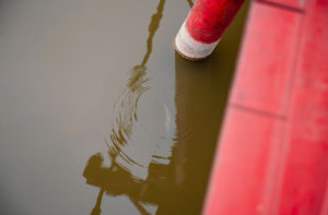 Wedding Anniversary in Hanoi