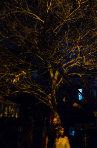 Wedding Anniversary in Hanoi