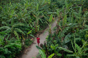 hoatranphoto.com: Portrait session with Myriam in Hanoi